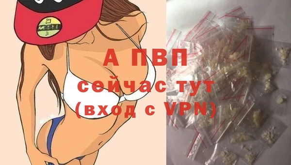 амф Надым